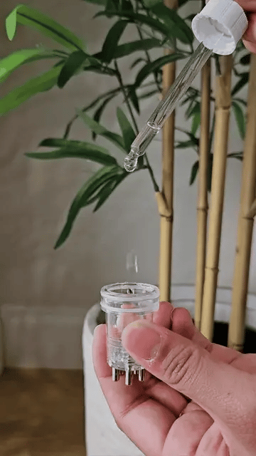 Vellora Light Scalp Massager Brush